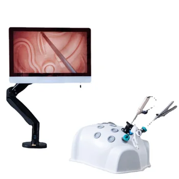 Тренажер для моделирования лапароскопической хирургии/Видеоассистированный тренажер для обучения торакальной хирургии